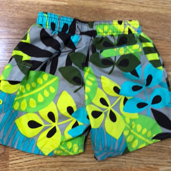 Carters 2 Pairs Boys Swim Trunks Shorts Size 18 M - Picture 6 of 6